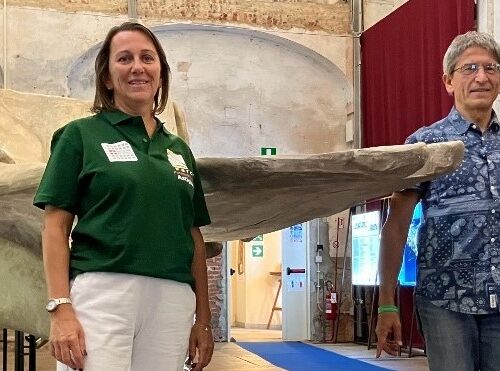 Il capodoglio fa stringere amicizia tra Asti, Vasto, Rimini, Lampedusa e Rodi Garganico