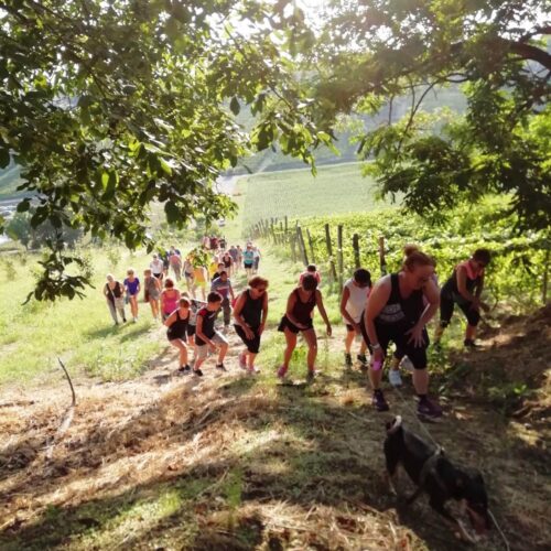 8 giugno 2025 – Su e giù per le colline del mare