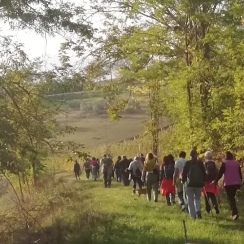 26 ottobre 2025 QUATTRO PASSI PER VIGLIANO